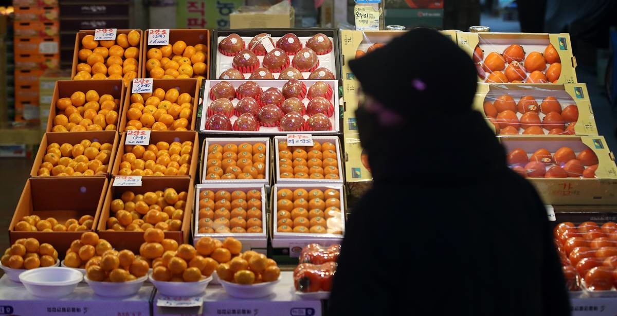귤. 기사 이해를 돕기 위한 자료 사진 / 뉴스1