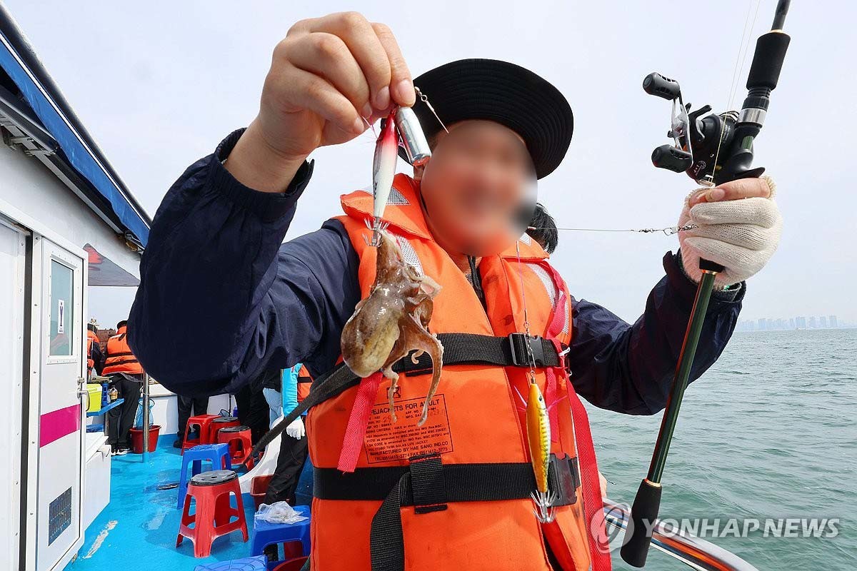 주꾸미 / 연합뉴스 자료사진
