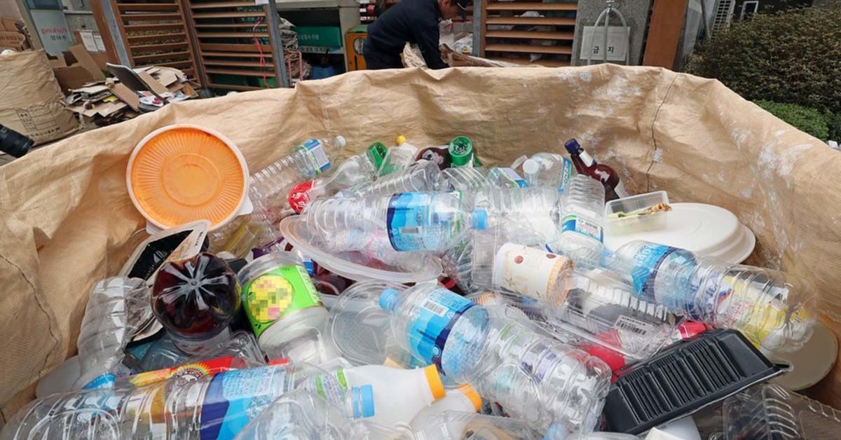 페트병 음료 속 미세플라스틱을 장기간 섭취하면 남성 생식 기능을 심각하게 저해할 수 있다는 연구 결과가 발표됐다. / 연합뉴스