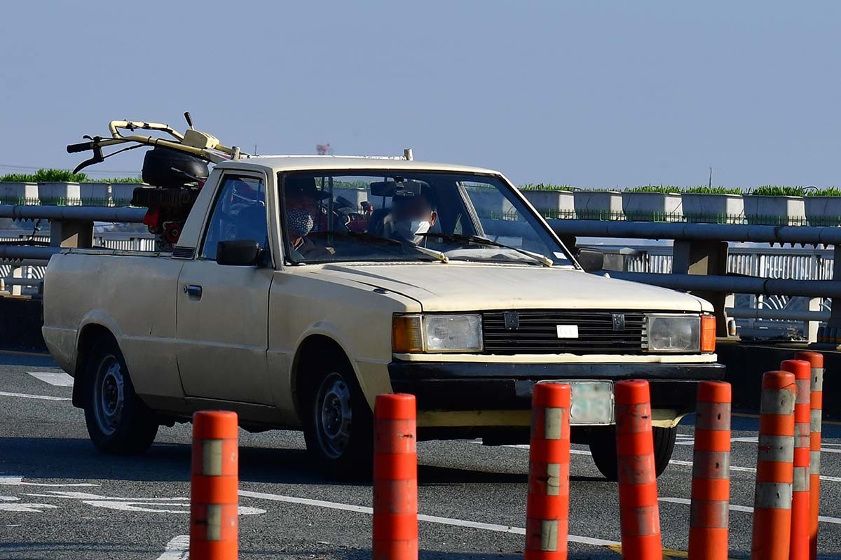 2023년 10월 31일 경북 포항시 남구 연일읍 형산강변 도로에서 1980년대 인기 차종이었던 현대자동차의 포니 픽업이 농사용 장비를 싣고 나타나 시민들의 시선을 사로잡고 있다. / 뉴스1
