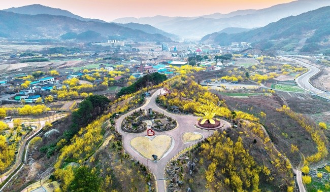 봄축제- 구례산수유축제