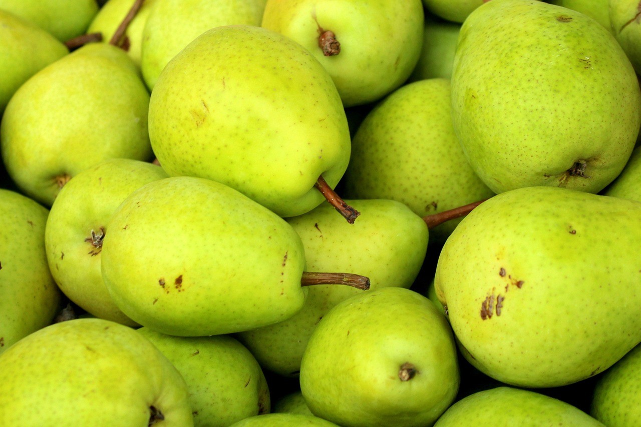 서양 배 / 픽사베이