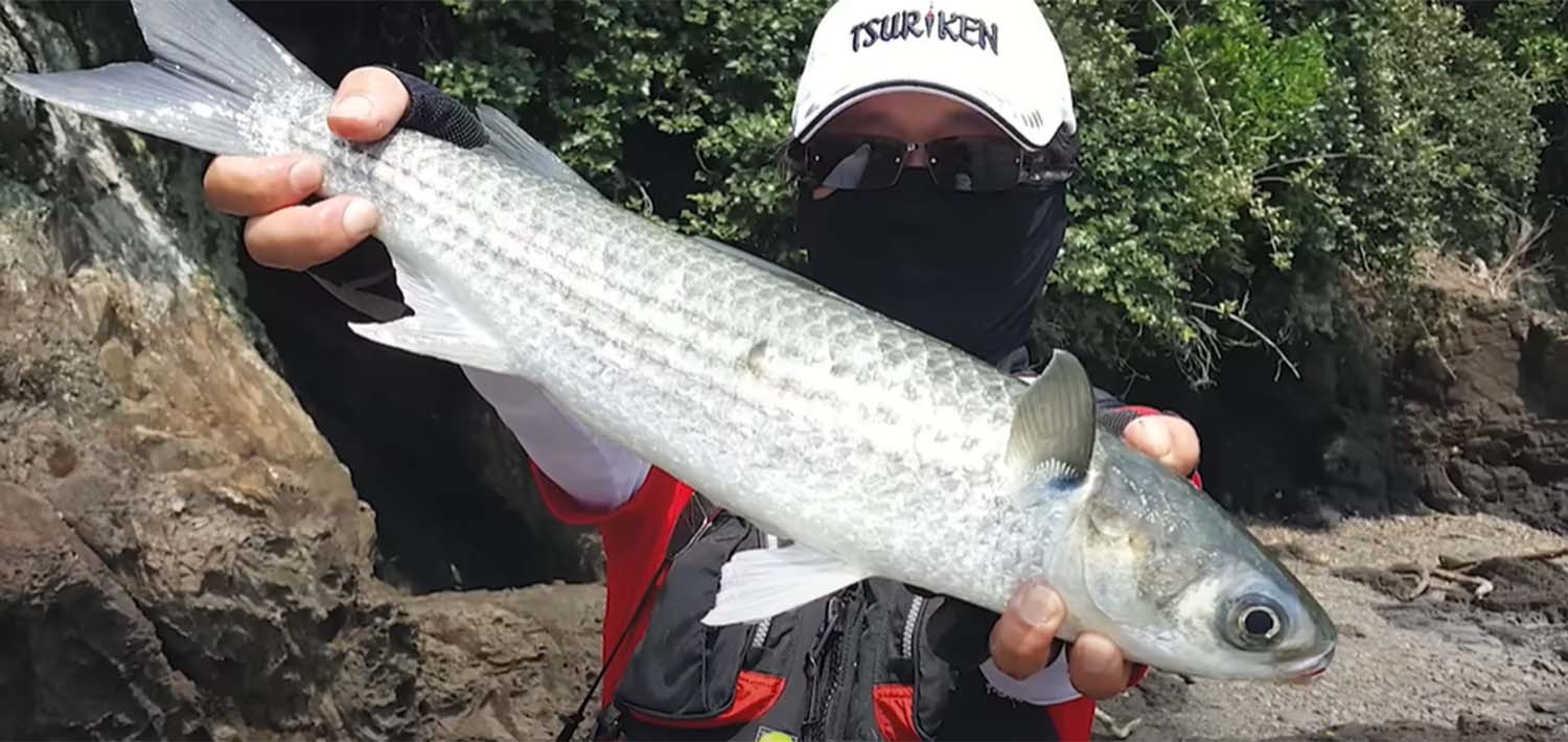 숭어  / '입질의추억TV' 유튜브 영상 캡처