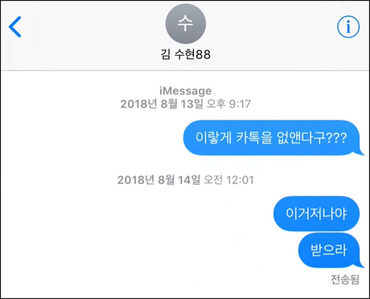 김새론이 미성년자 시절 김수현에게 보낸 메시지. / 가로세로연구소