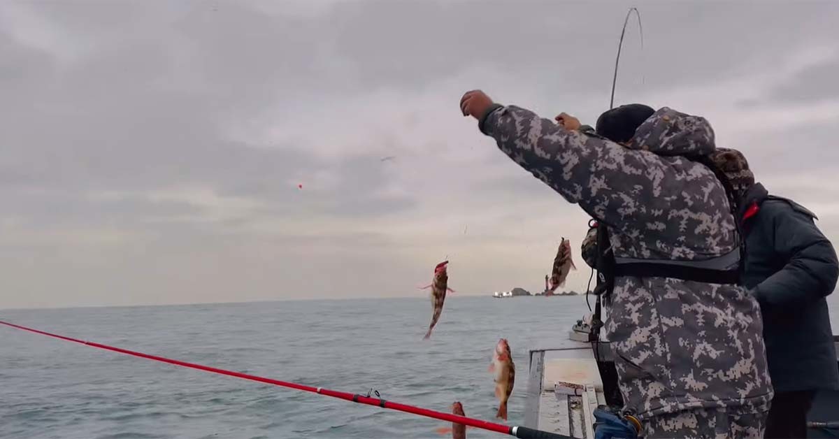 불볼락(열기) 낚시 모습. / '간이딱맞네 낚시TV' 유튜브 영상 캡처