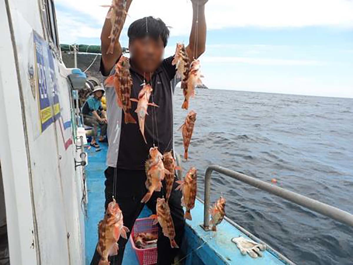 불볼락(열기) 낚시 모습. / 연합뉴스