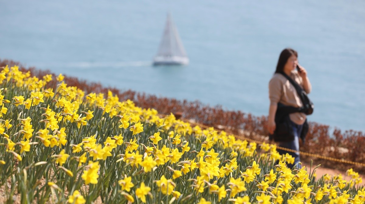 기사의 이해를 돕기 위한 사진 / 뉴스1