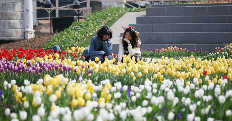 기사의 이해를 돕기 위한 사진 / 뉴스1