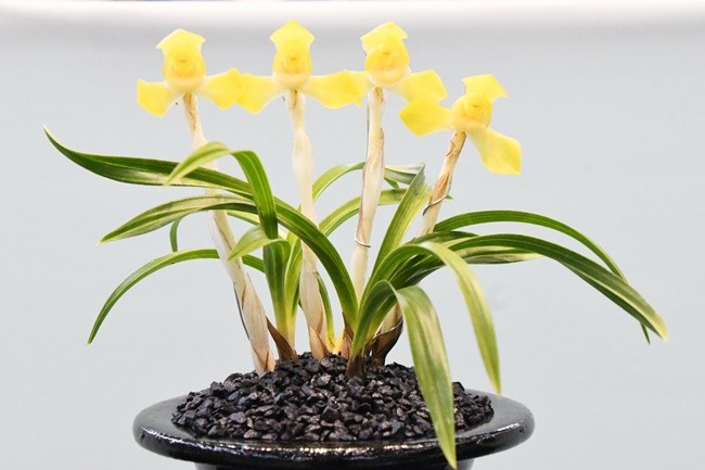 최우수상(보름달)