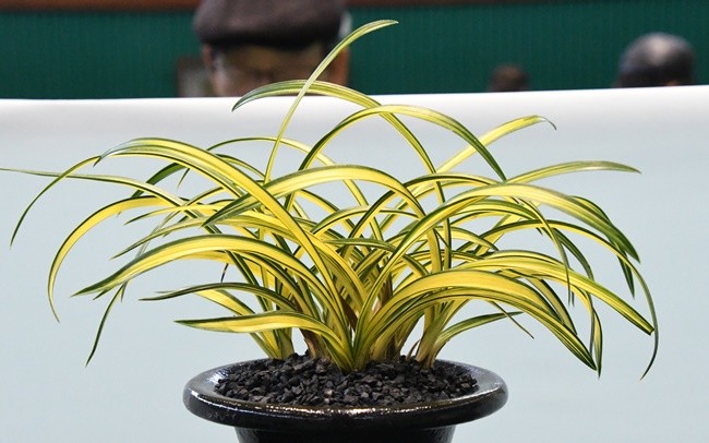 최우수상(신문)