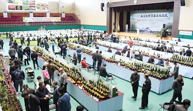 전국 최고 난 축제인 ‘2025 대한민국 난 명품 대제전’이 한국춘란의 최대 자생지 전남 함평군에서 열렸다.이날 수백여명의 애란인들이 춘난을 감상하고있다.