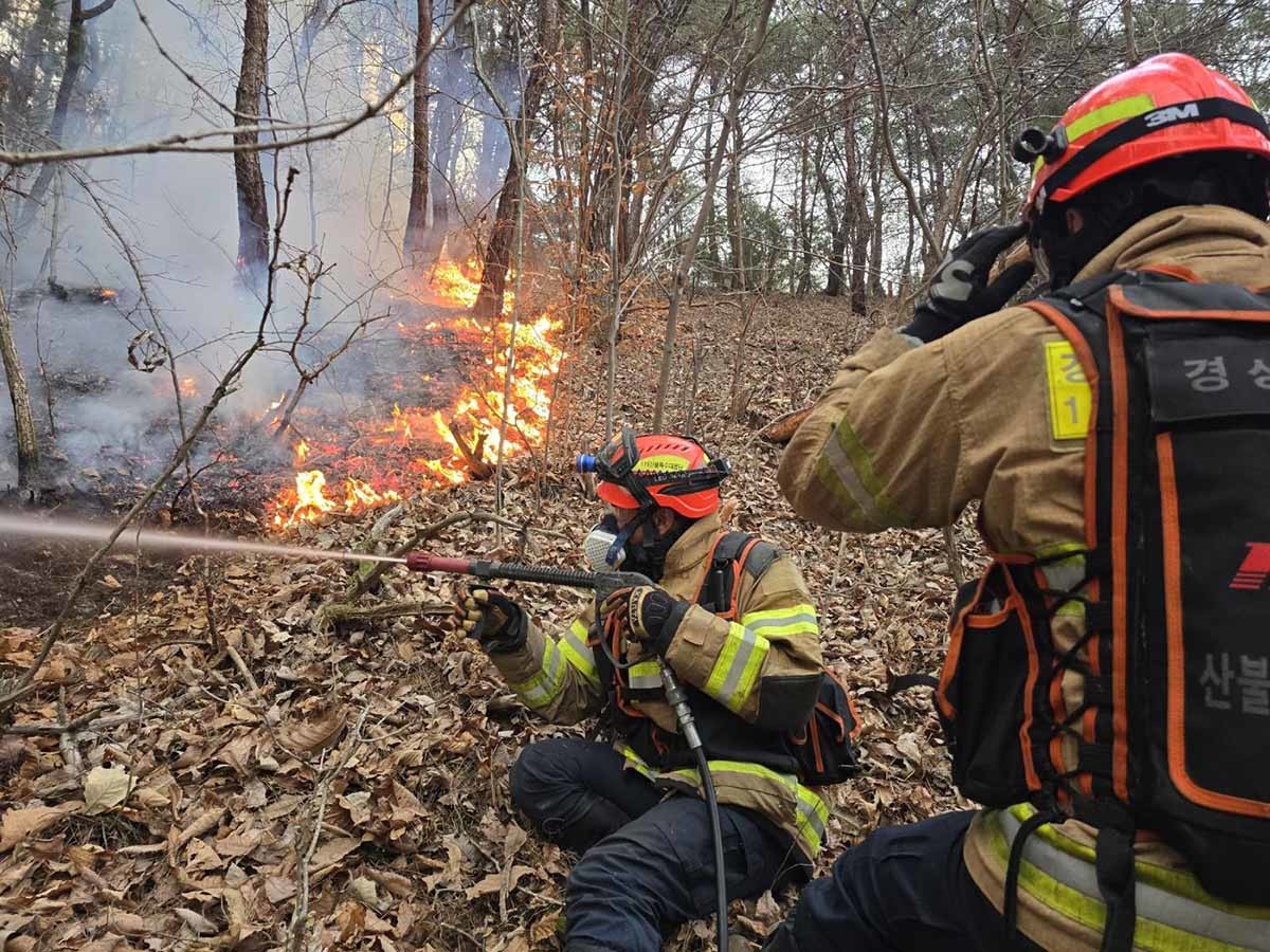 경북 의성 산불이 사흘째 이어지고 있는 24일 의성군의 한 야산에서 소방대원들이 진화작업을 펼치고 있다. 이날 초속 16m의 돌풍으로 소방대원들에게도 대피 명령이 떨어졌다. / 경북소방본부 제공