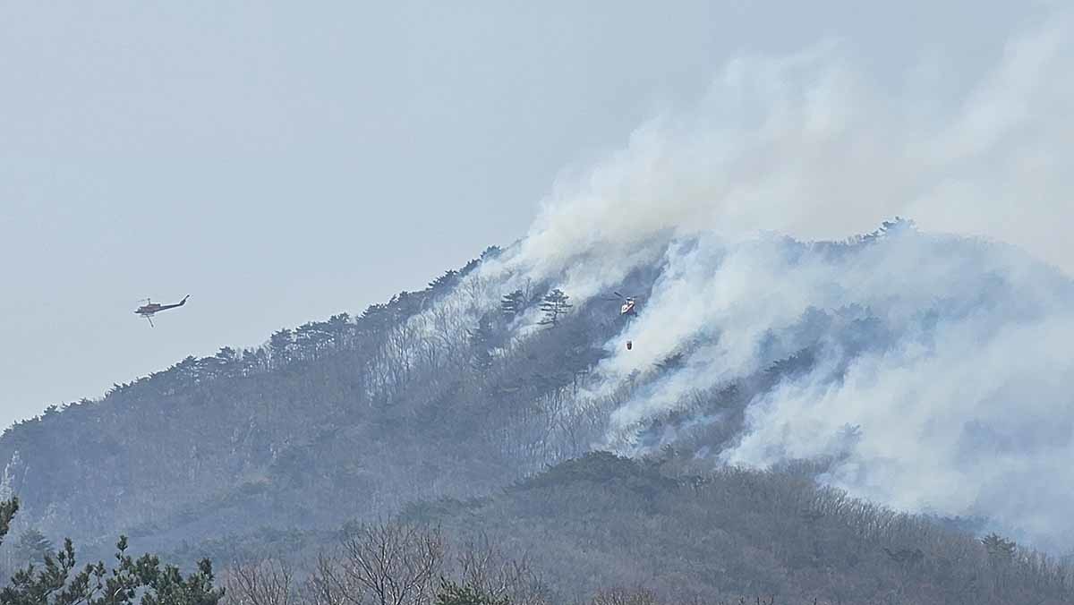 사흘째 지속되는 울산 울주 산불이 진화율 70%를 넘기기 못하고 있는 가운데 24일 오후 강한 바람이 지속되고 있다. / 뉴스1