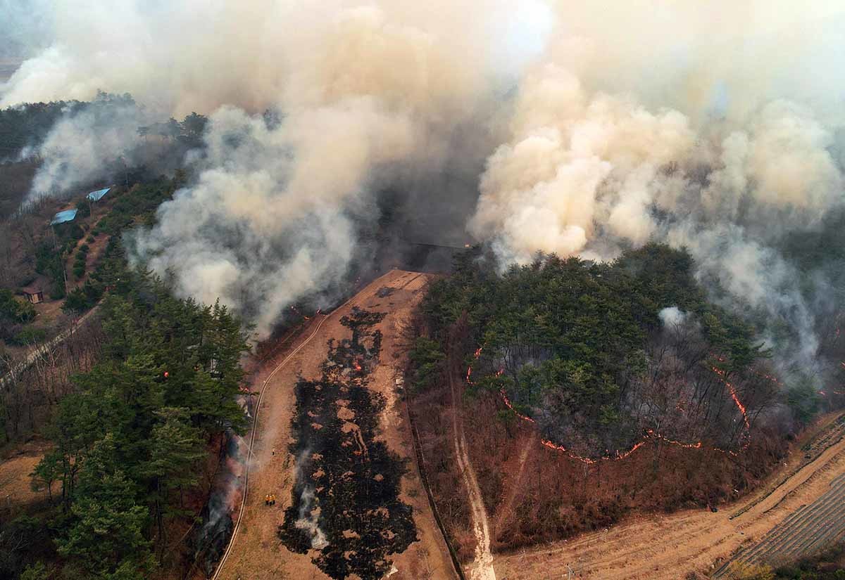 24일 오후 경북 의성군 점곡면 윤암삼거리 인근 한 야산에서 강풍을 타고 산불이 번지고 있다. 윤암삼거리는 안동시 길안면과 청송군 방면으로 갈라지는 길목이다. / 뉴스1