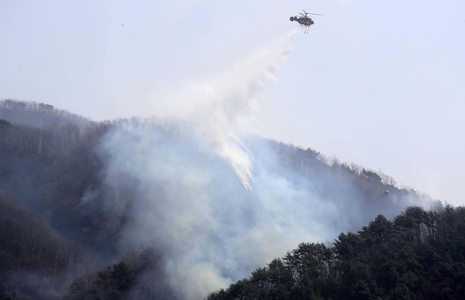 경북 의성군 산불이 나흘째 이어지고 있는 25일 오후 경북 의성군 옥산면 전흥리 일대에서 소방헬기들이 산불을 끄기 위해 물을 나르고 있다. / 뉴스1