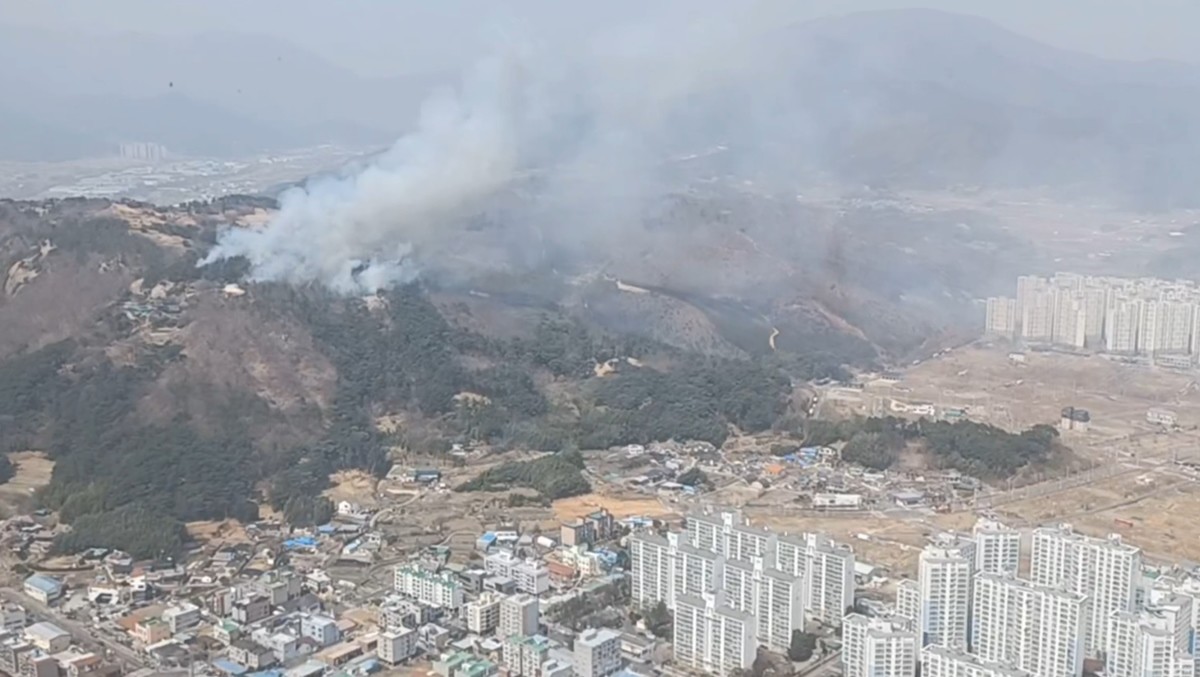 25일 오전 11시 54분께 울산시 울주군 언양읍 송대리 화장산에서 불이 나 산림당국이 진화 작업을 하고 있다. / 뉴스1 (울산소방본부 제공)