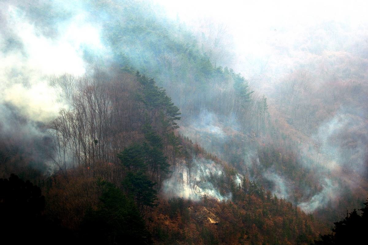 27일 전북자치도 무주군 부남면 일원 야산에서 산불로 연기가 피어오르고 있다 / 뉴스1