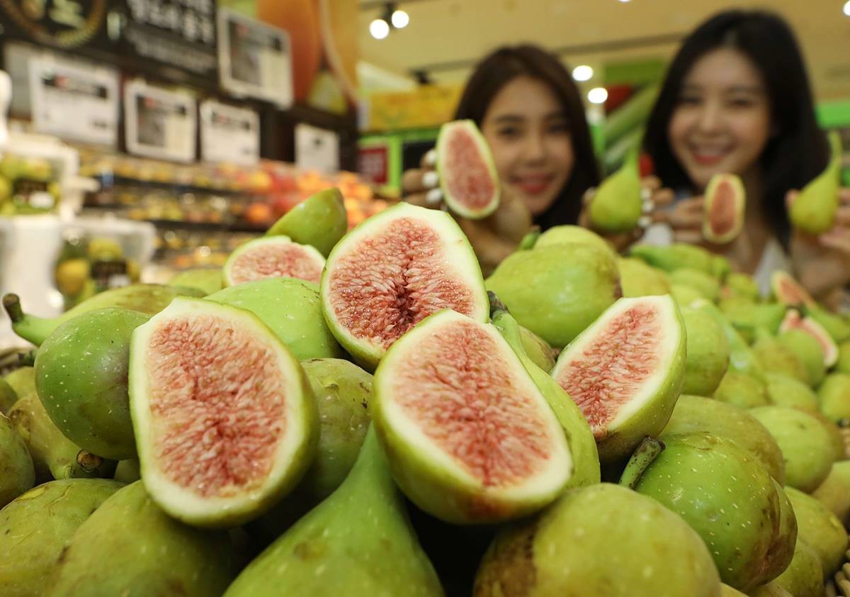 이 무화과 열매 자체가 사실 ‘꽃’이다 / 뉴스1