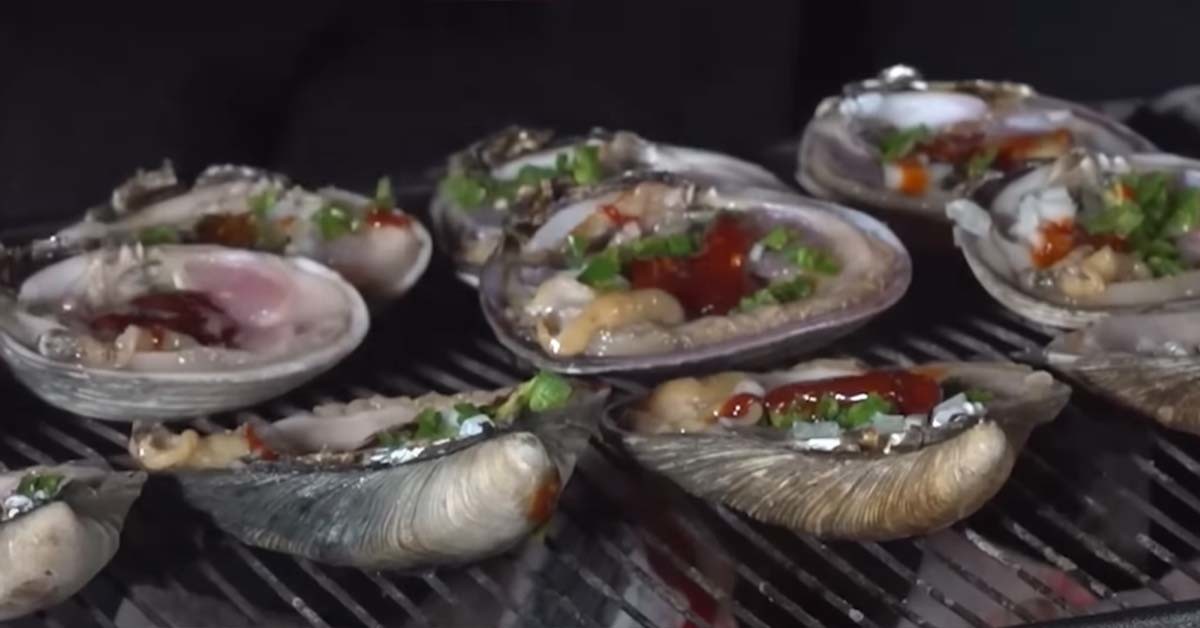 개조개 구이 / 마초TV 유튜브 영상 캡처