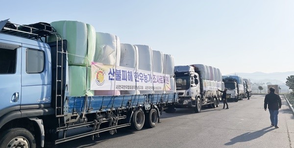 전국한우협회 보성군지부가 조사료 곤포사일리지 198롤(시가 1,200만 원 상당)을 긴급 지원했다.