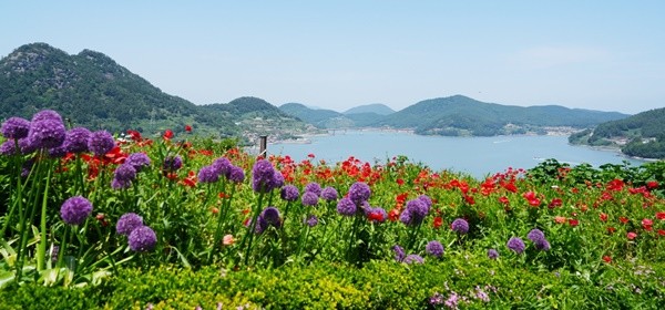 쑥섬