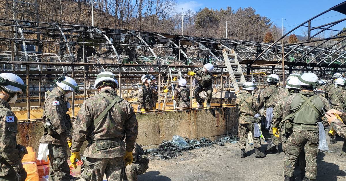 <b>영덕</b>군 <b>산불</b> 피해지역에 봉사활동 줄이어