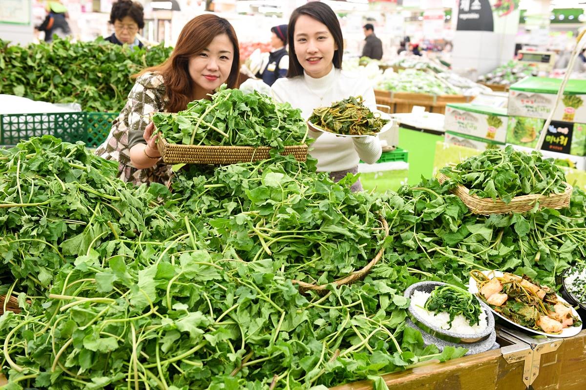 2017년 3월 23일 서울 서초구 농협하나로마트 양재점에서 모델들이 어수리 나물을 선보이고 있다 / 뉴스1