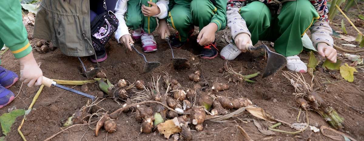 호미질하는 아이들. / 뉴스1