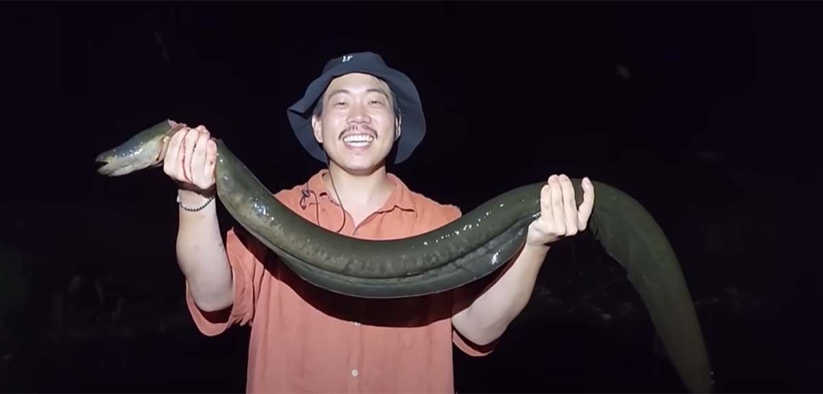 헌터퐝 일행이 포획한 전기뱀장어. / 헌터퐝 유튜브 영상 캡처