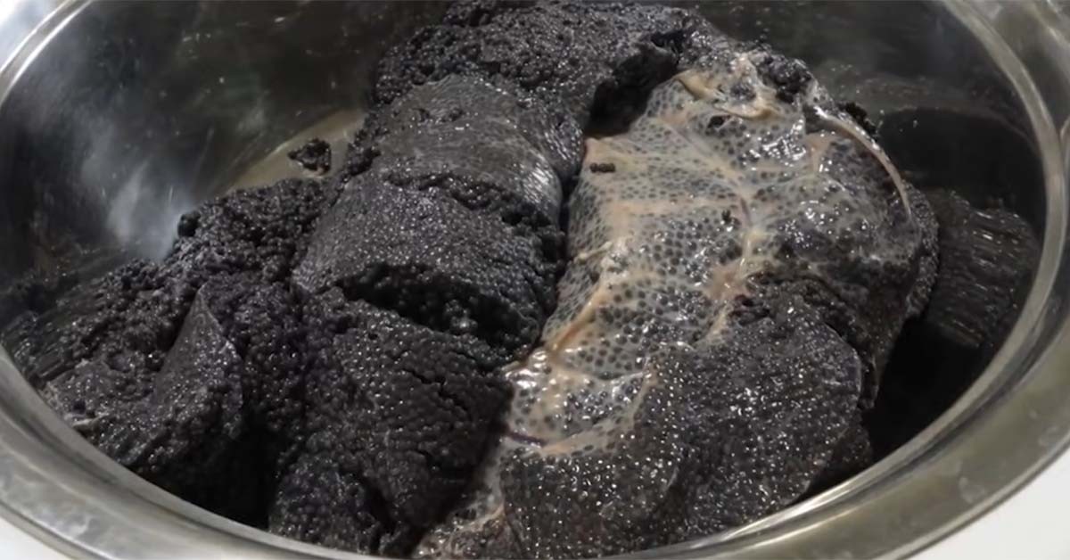 캐비어. / EBS '극한직업' 영상 캡