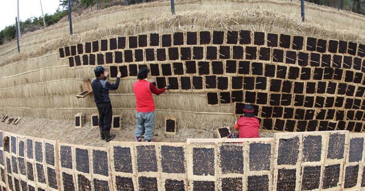 전통 방식으로 김을 말리는 모습. / 연합뉴스