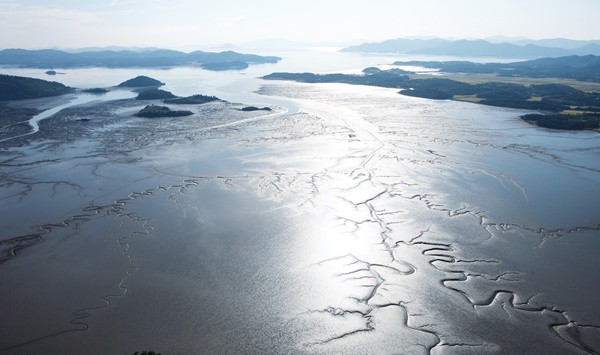 보성만 갯벌 전경