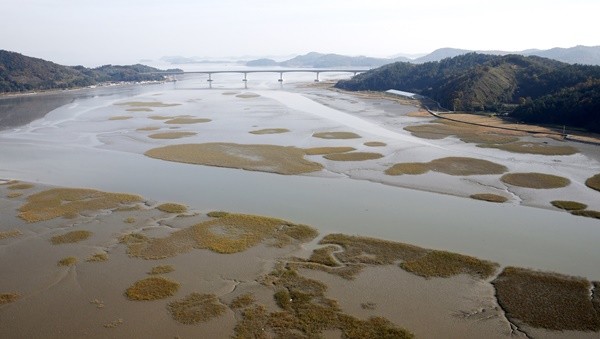 벌교 여자만 습지