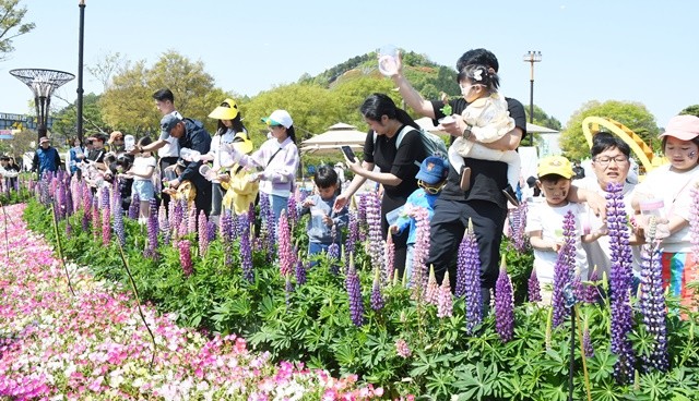 나비날리기 체험을 하는 관광객들