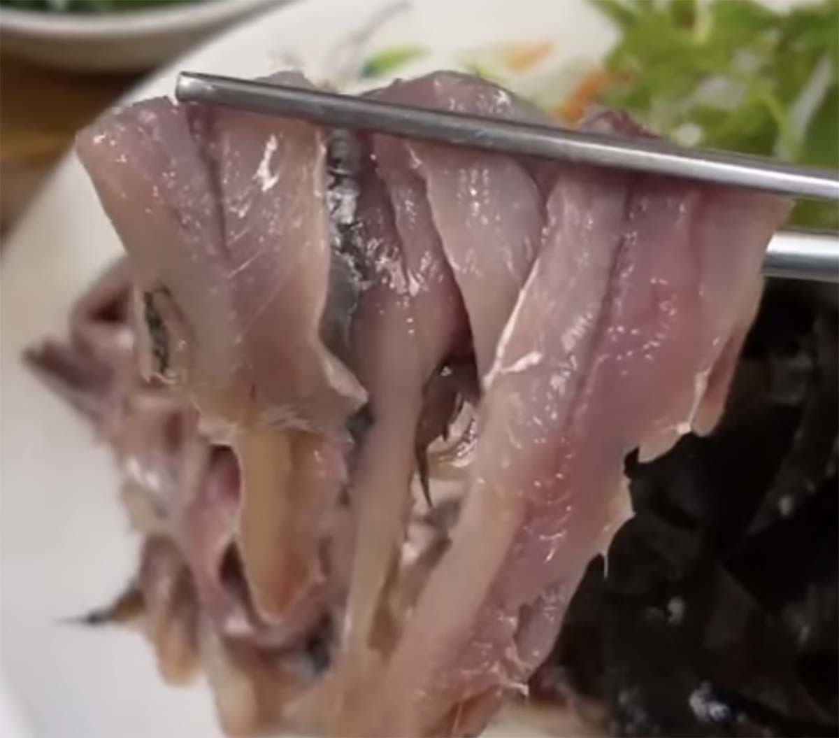 기장 대멸치회 / '대구형제_대구맛집' 유튜브 영상 캡처