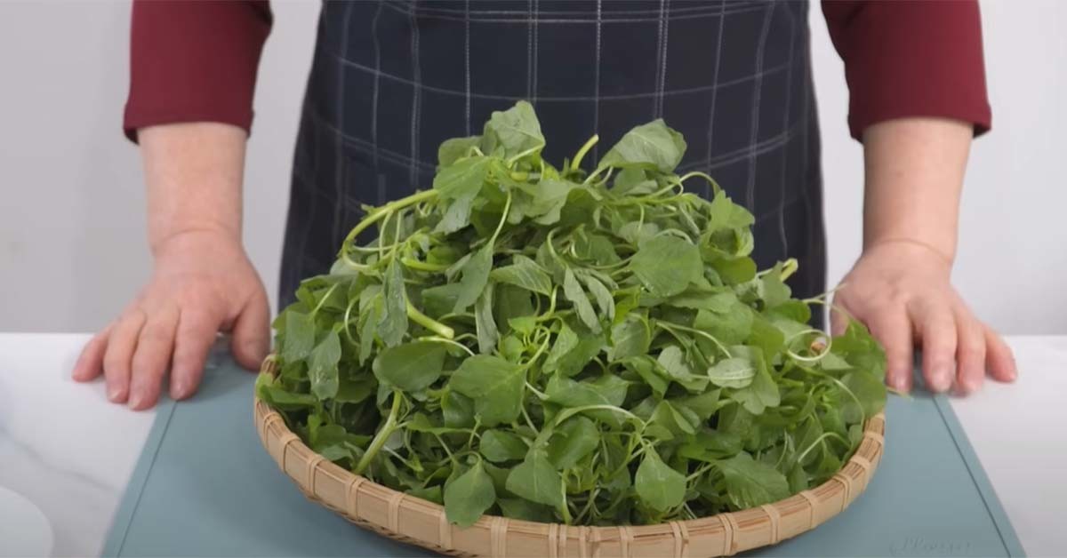 비름 / '엄마의손맛' 유튜브 영상 캡처