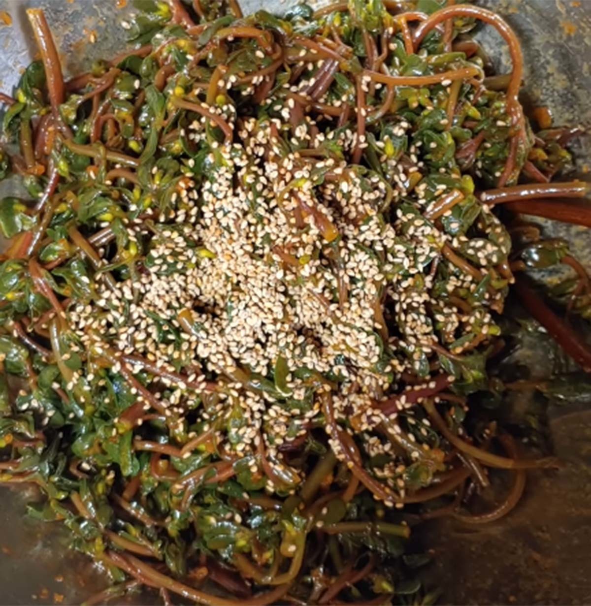 쇠비름 무침 / '노정호' 유튜브 영상 캡처