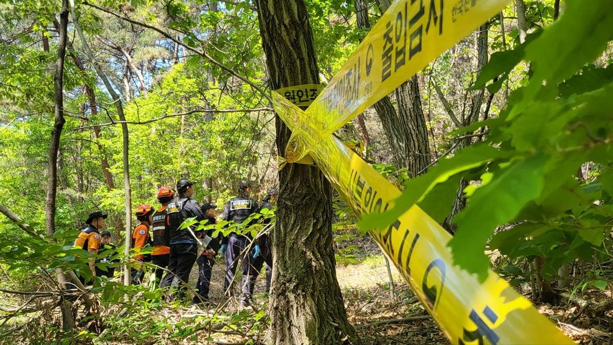 지난달 30일 오전 10시 국립산림과학원과 경찰 등 유관기관이 대구 북구 노곡동 함지산 산불 원인을 밝히기 위해 합동감식을 진행하고 있다 / 뉴스1