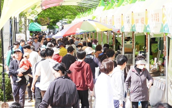 함평나비축제장을 찾은 관람객들