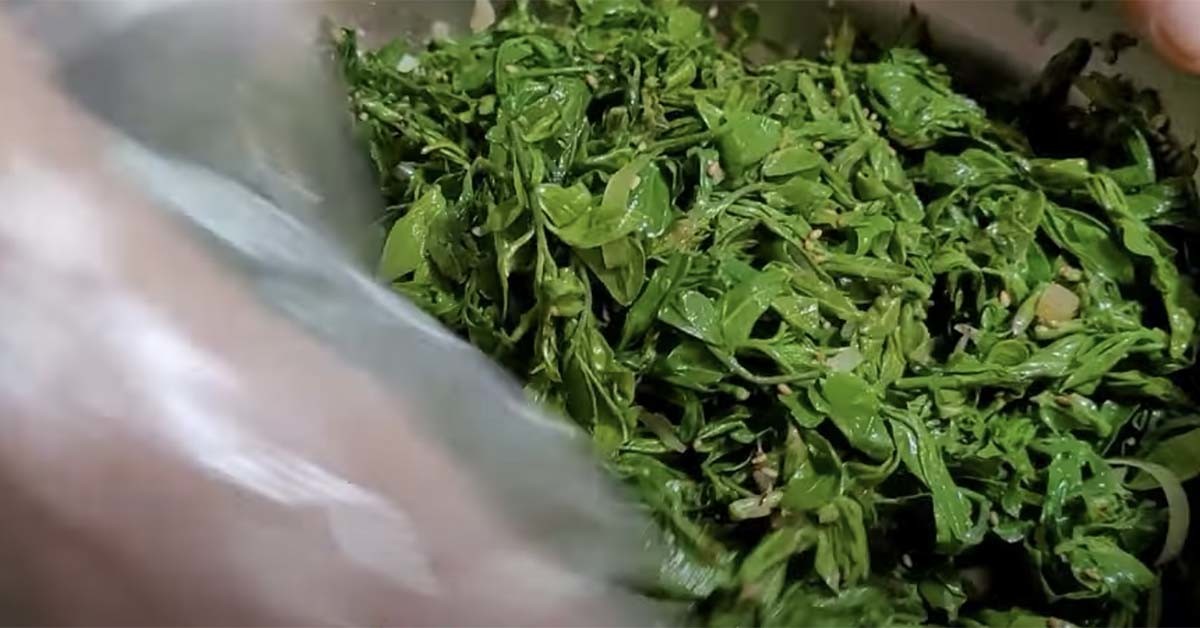 홑잎나물 무침 레시피 / '충청도외할머니밥상' 유튜브