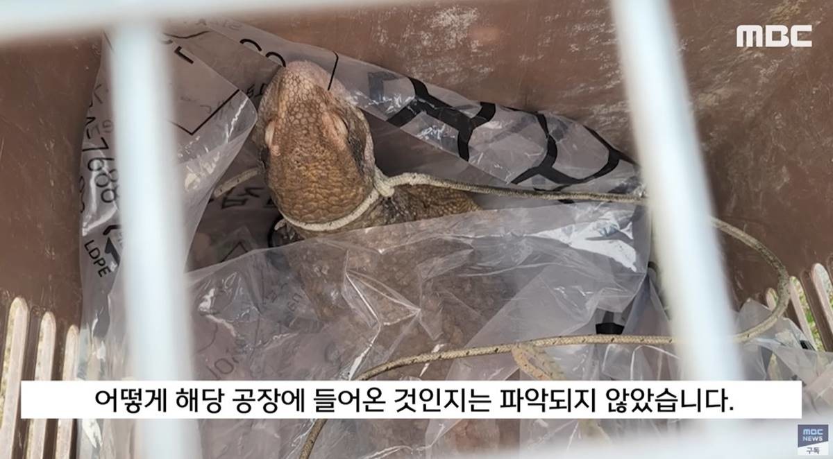 어떻게 들어왔지? 공장 들어온 경로 파악 안돼 / MBC뉴스