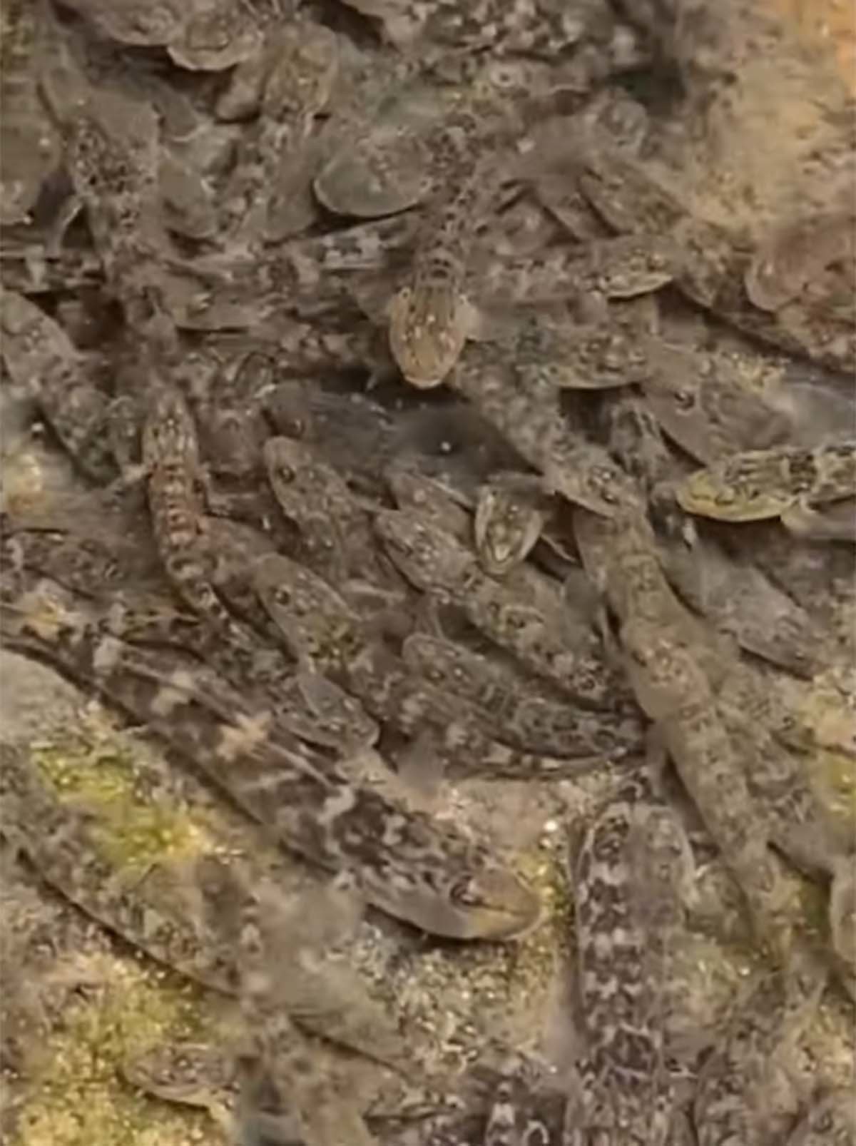 밀어 / '무거비' 유튜브