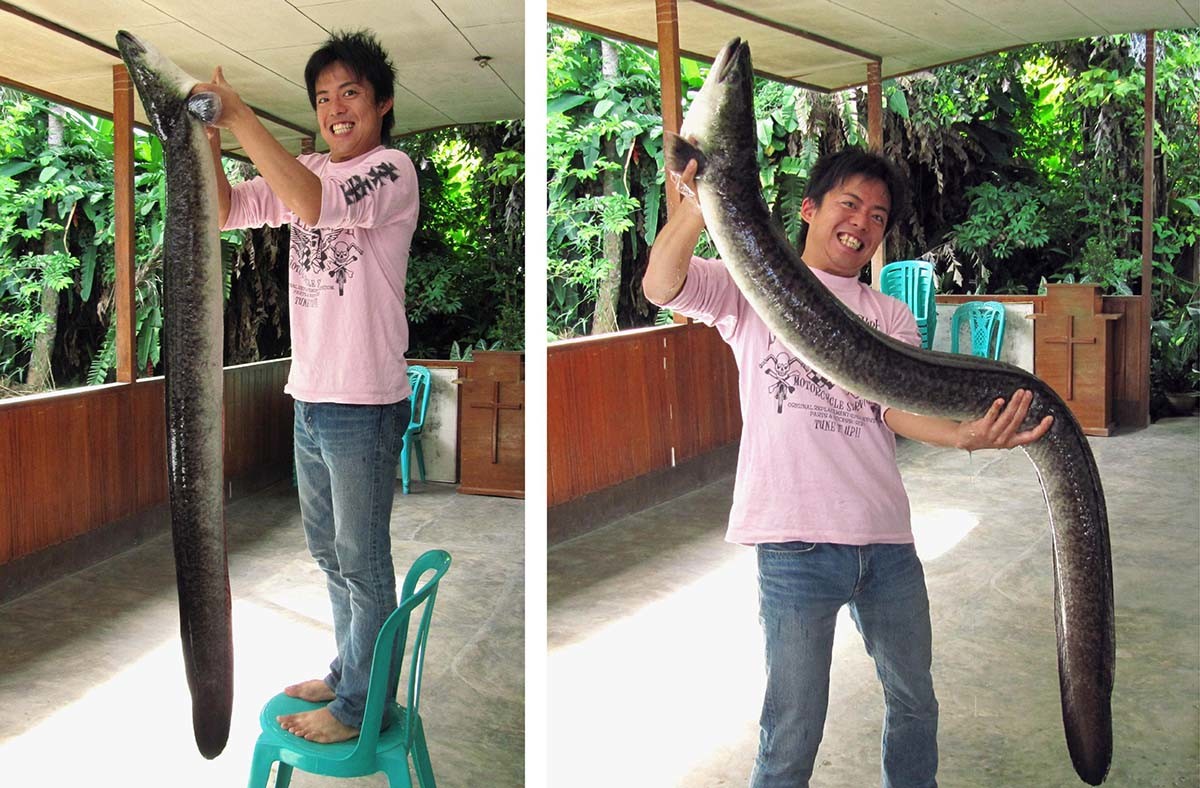 세계에서 가장 유명한 무태장어 사진. 일본의 한 네티즌이 2010년 자신의 블로그에 올린 것이다.