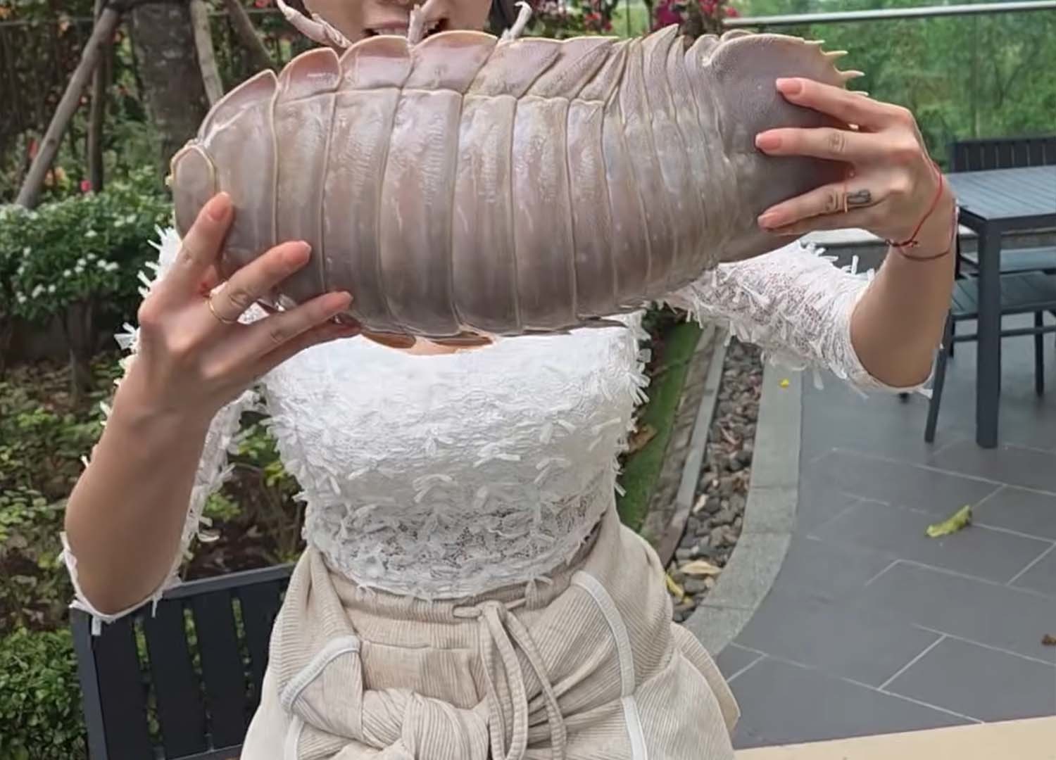 바티노무스 기간테우스 / '헌터퐝' 유튜브