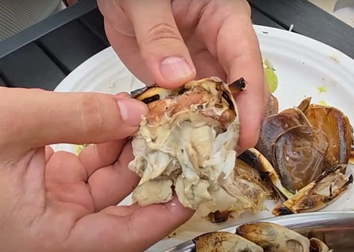 불에 구운 바티노무스 기간테우스 / '헌터퐝' 유튜브