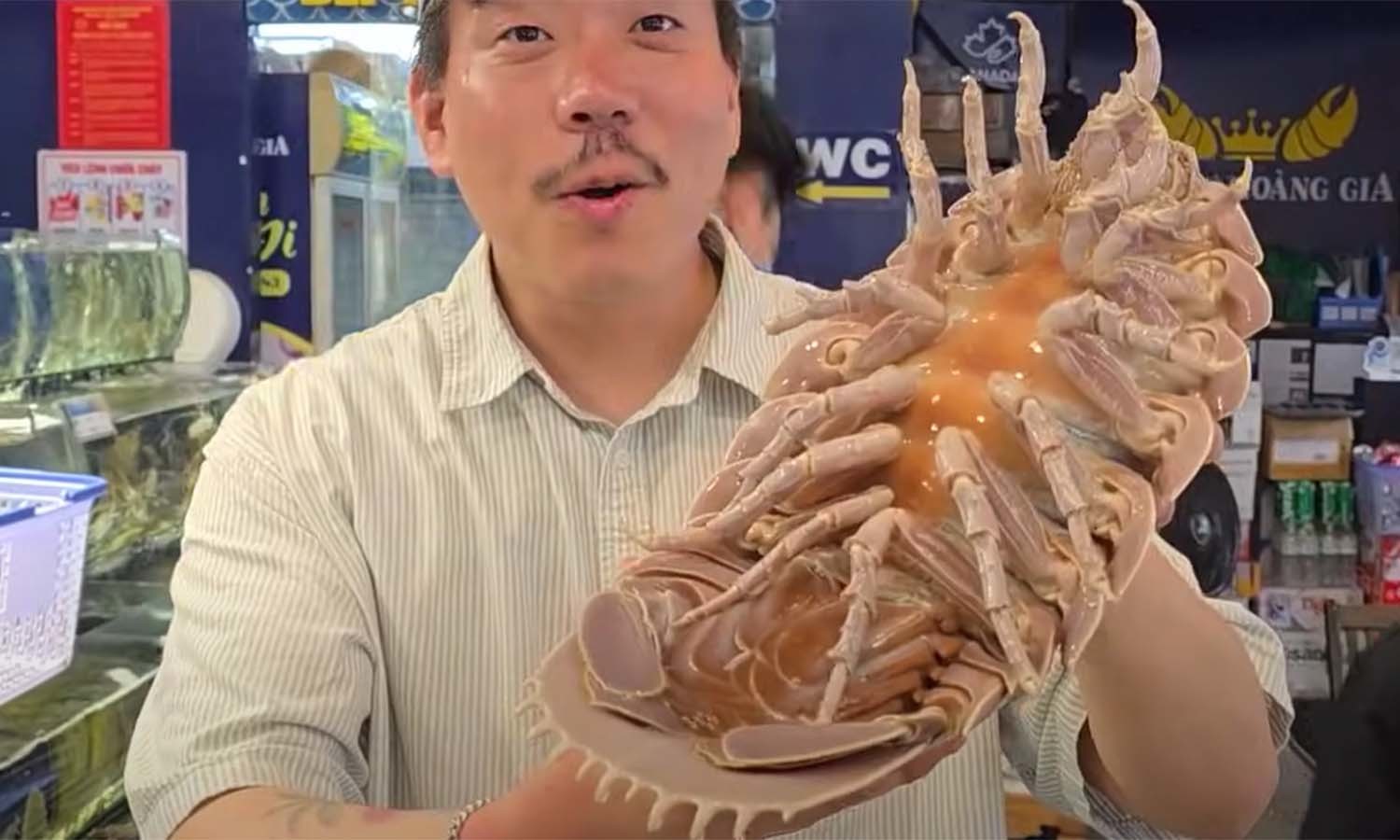 바티노무스 기간테우스 / '헌터퐝' 유튜브