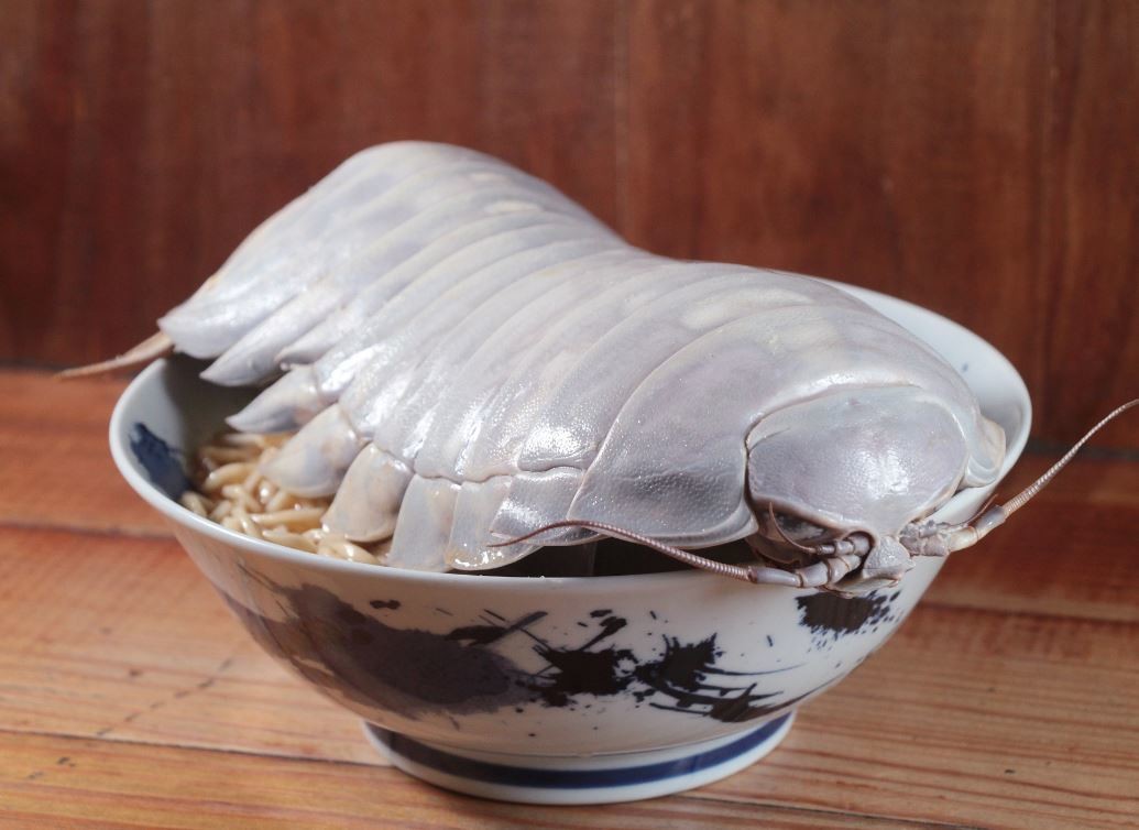 대만의 한 식당은 바티노무스 기간테우스를 식재료로 사용한 라멘을 출시한 바 있다. / 이하 라멘소년 공식 페이스북