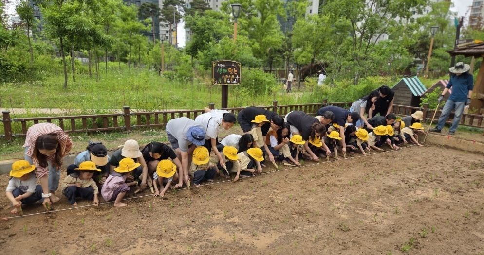 나성유 모내기 사진 / 세종시교육청