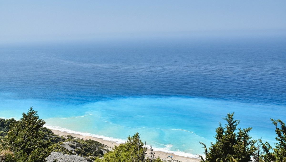 기사 이해를 돕기 위한 자료 / 픽사베이