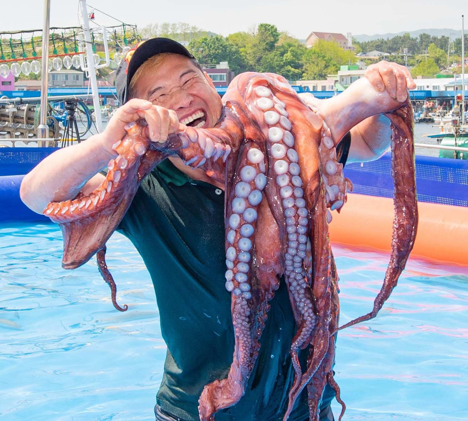 대문어 / 고성군 제공